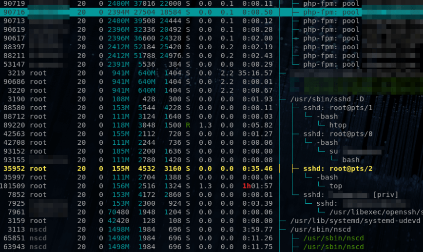 htop pid check