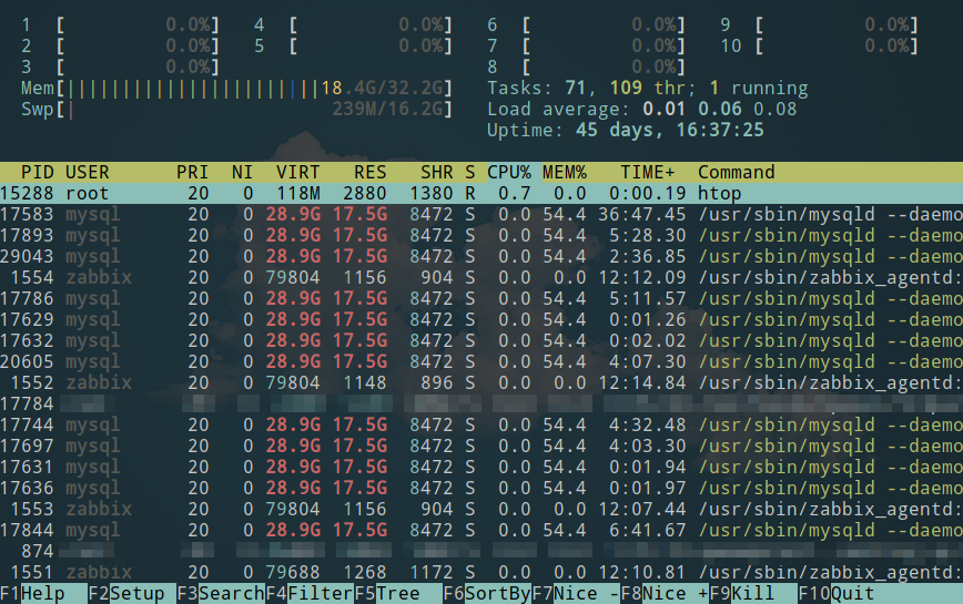 htop screenshot