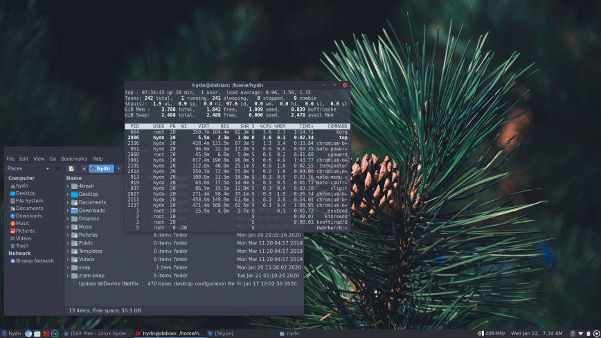 Pinebook Pro desktop screenshot