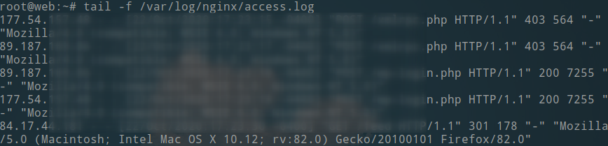 tail nginx access log