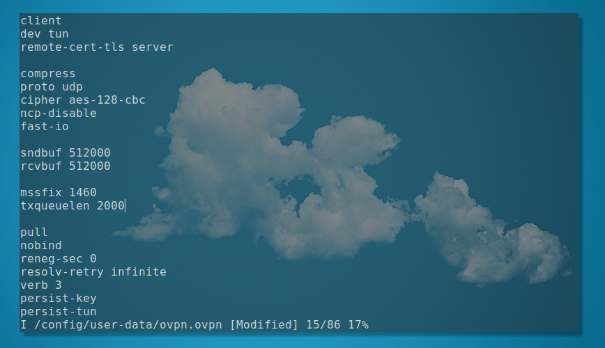 my openvpn config: /config/user-data/ovpn.ovpn