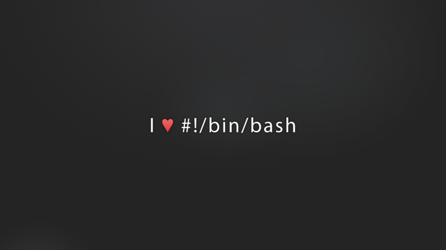 Linux bash command line