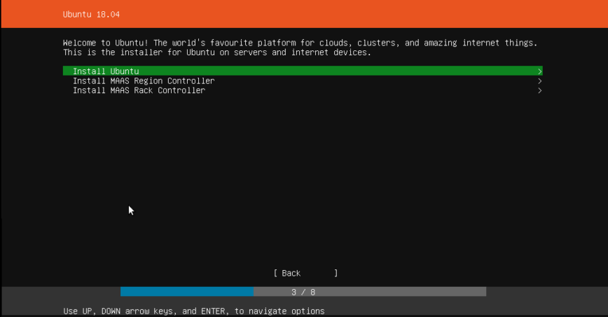 Ubuntu Server installation menu
