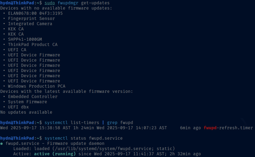 How to Upgrade ThinkPad Firmware on Linux (article)