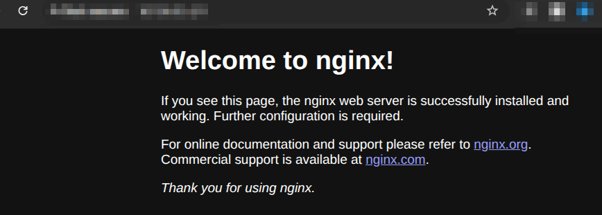 Start an Nginx web server container bound to port 80.