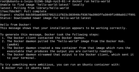 How to Install Docker on Linux and Run Your First Container | LinuxBlog.io