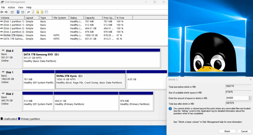 Prep Windows C: drive for dual-booting Linux.