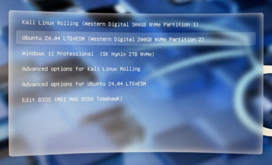 Grub boot menu post dual or multi-boot install.