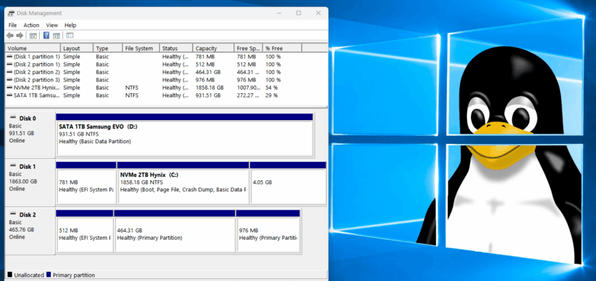 Windows Disk Partitioning (optional)