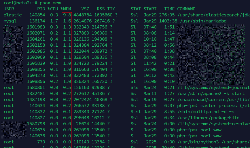 psax bash function sorting processes by memory usage Terminal output of the psax mem bash function showing processes sorted by memory usage on a Linux server