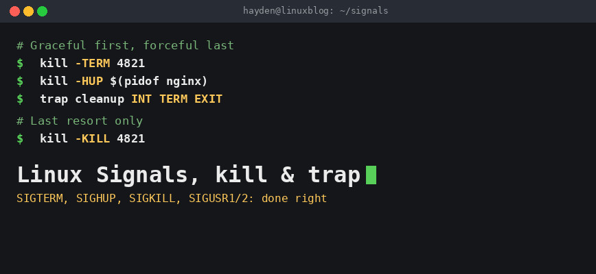 Terminal showing kill -TERM, kill -HUP, trap, and kill -KILL commands for managing Linux signals