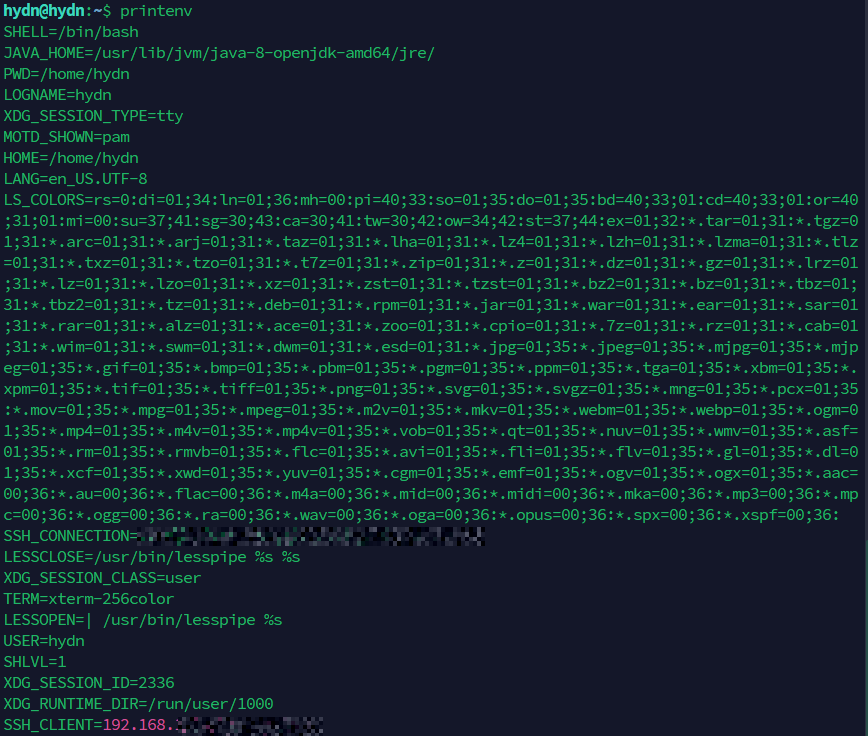 printenv command output on a Linux server showing common environment variables