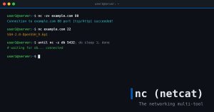 netcat (nc) Command in Linux, with Examples