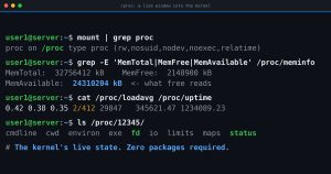 A Guide to Linux /proc Filesystem