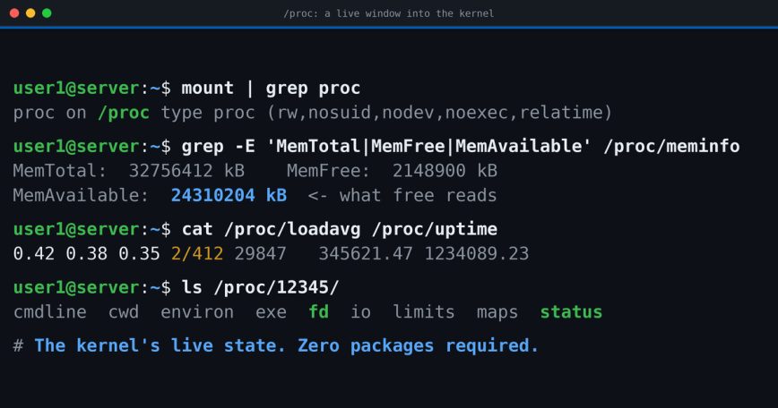 The Linux /proc filesystem: a live window into the kernel Terminal showing cat /proc/meminfo, readlink /proc/self, and mount output demonstrating the Linux /proc virtual filesystem